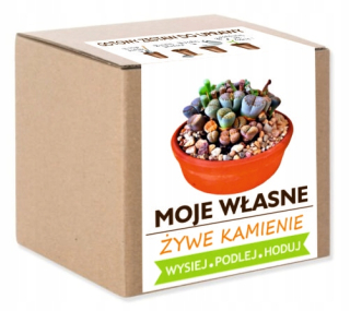 Sada na pestovanie LIVING STONES